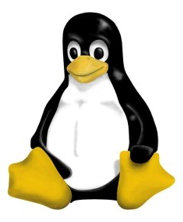Linux szkolenie podstawowe - wprowadzenie do systemu